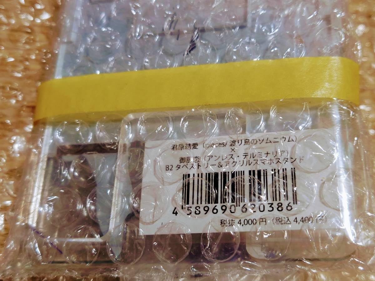 Amazon.co.jp: pieces 渡り鳥のソムニウム 君原結愛×アンレス